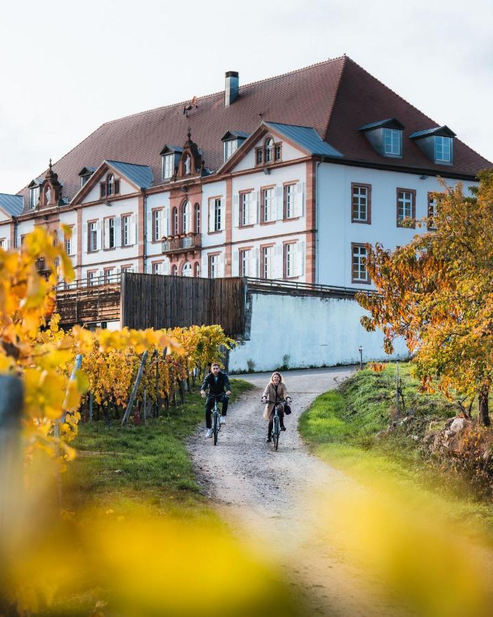 Hotel Val-Vignes Colmar Haut-Koenigsbourg, The Originals Relais Saint-Hippolyte  Eksteriør bilde