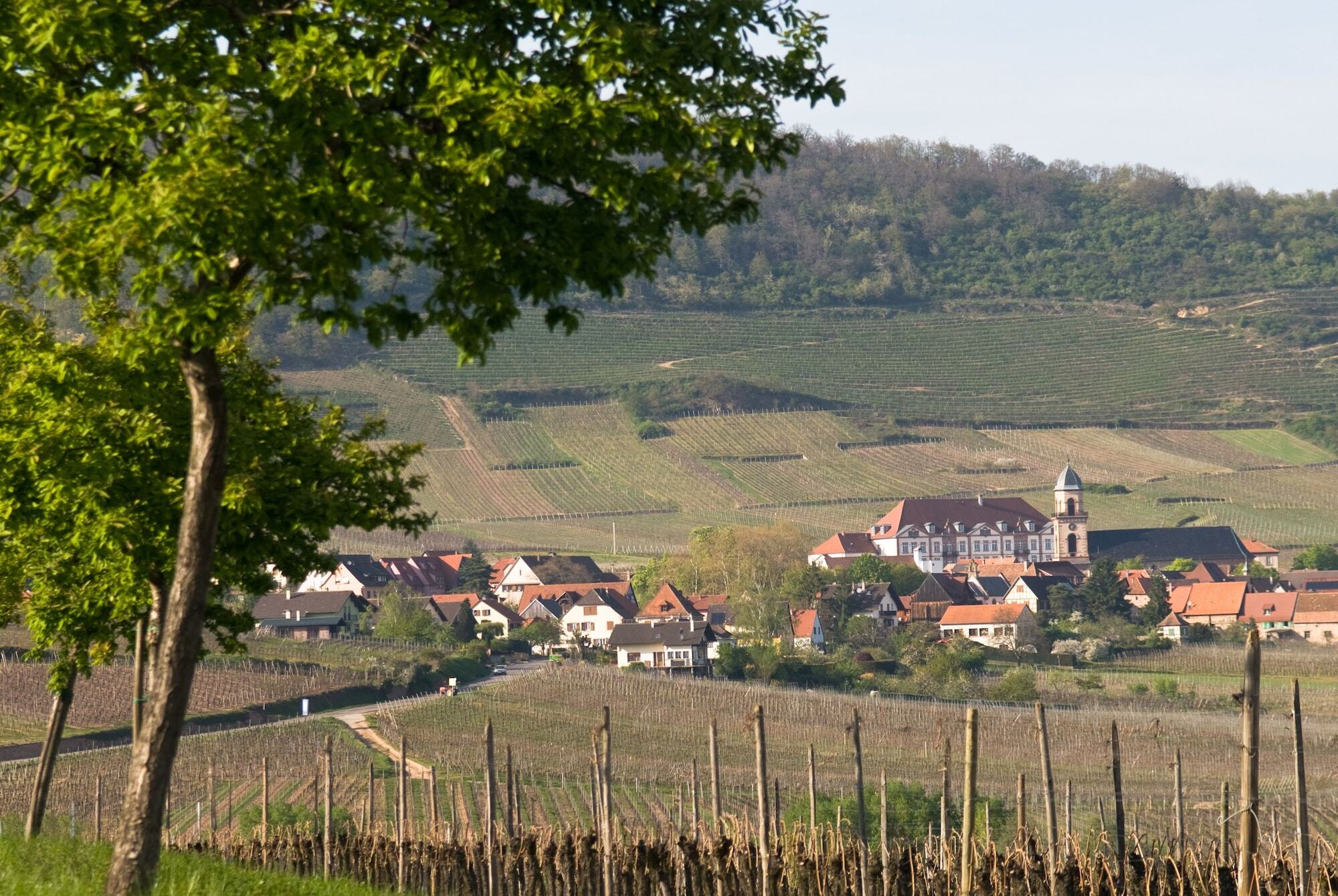 Hotel Val-Vignes Colmar Haut-Koenigsbourg, The Originals Relais Saint-Hippolyte  Eksteriør bilde